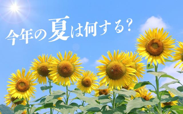 今年の夏は何する？？