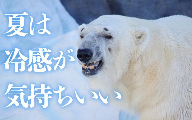 ひんやり気持ちいいアダルトグッズ